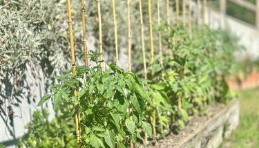 Casa da nascente douro - Foto 2