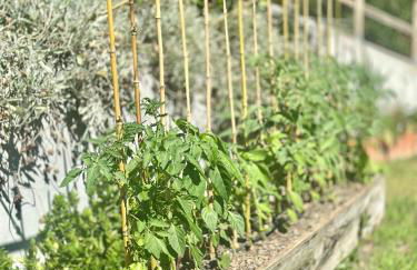 Casa da nascente douro - Foto 2