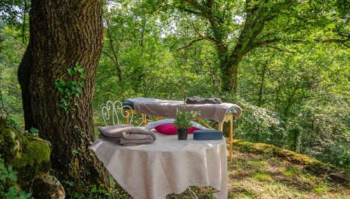 Gîte du Mont Plaisir - Foto 2