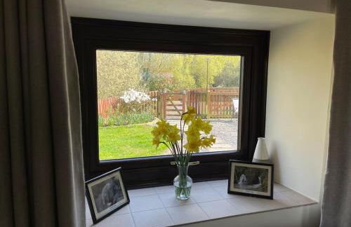 Rural, Secure Garden, Woodland Walks, 23 min to beach - Foto 10