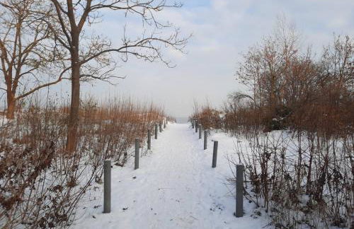 Modernes Reetdach-Ostseeferienhaus Bella Mare, Insel Usedom mit Sauna, Kamin & Sonnenterrasse - Foto 51