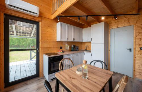 Okno na winnicę - Foto 15