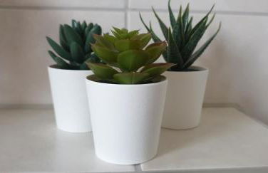 Ferienwohnungen Nahrstedt - Foto 24