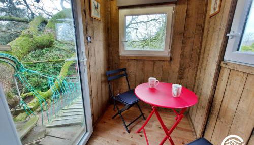 Le nid dans le chêne - Photo 5