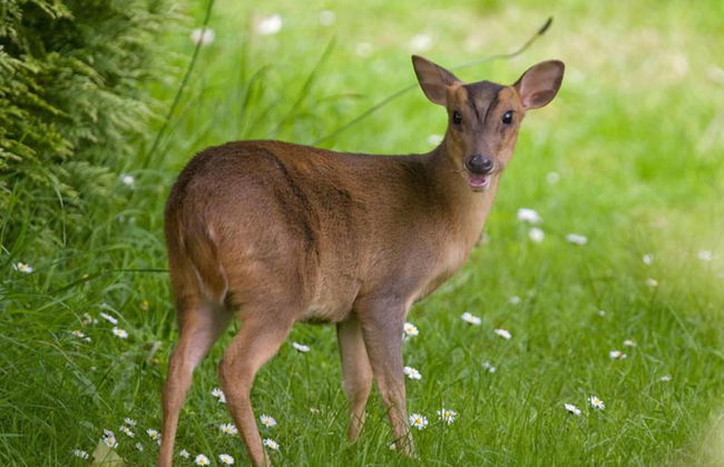 Loxley Barn, 1-bed Cottage Retreat - Foto 13
