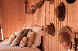 Le coquillage, la clef des paons - Photo 24