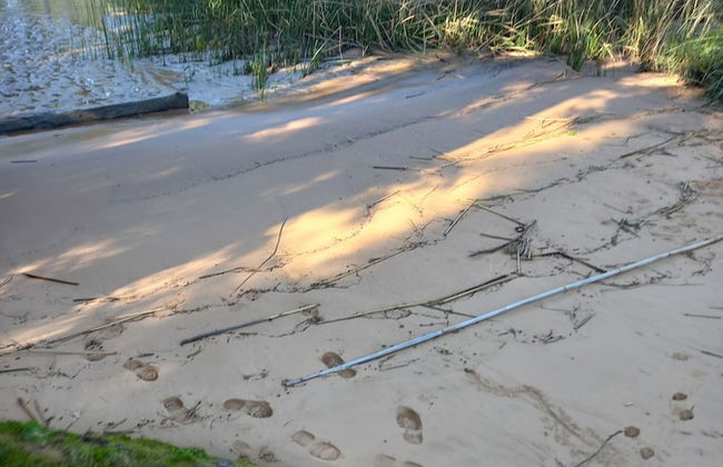 Cabaña del humedal - Foto 54