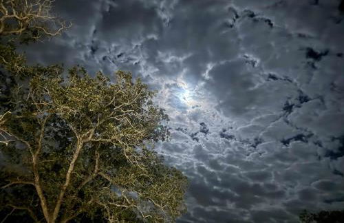 Magnificent 90-acre Texas Ranch Estate On San Marcos River - 5 Bedrooms - Newly Renovated & Professionally Furnished 9t Ranch By Boutiq - Foto 53