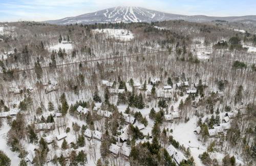 Mountain Haven for Families w Deck - Shuttle - Views - Foto 53