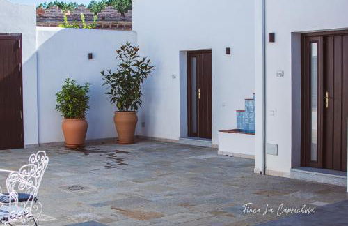 Finca Caprichosa - Foto 3