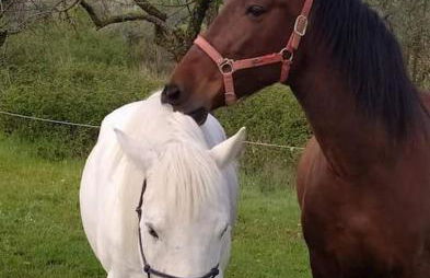 LES LLÚDRIGUES Casa Loft con aire ac y terraza - Foto 58