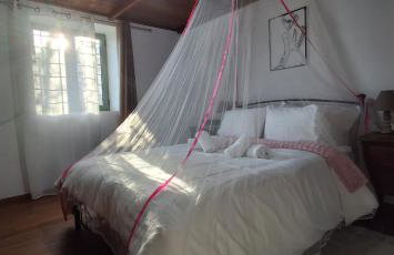 IRENE'S village home - Photo 25