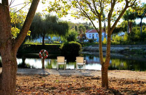 Herdade do Sardanito da Frente - Foto 4