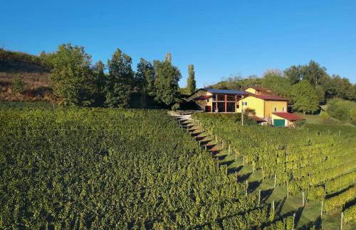 Azienda Agricola La Ghibellina - Foto 19