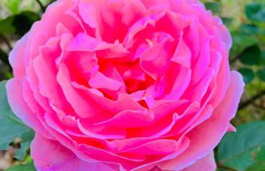 Vrijstaand vakantiehuis La Piccigliana - 6 personen - Foto 27