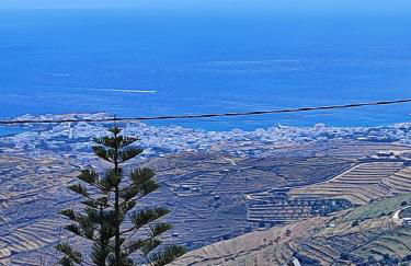 Vgena's house in Dio Choria - Foto 35