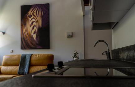 Apartamentos Mar y Mar Agroturismo - Foto 34
