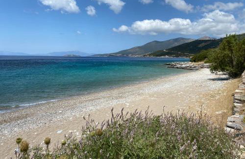 Sun Senses beach front villa with private beach - Photo 65