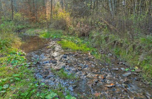 Unadilla Cabin on 50 Acres and Fire Pit and Creek - Foto 36