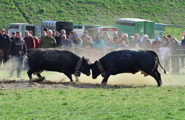 Serene Chalet in Antey-Saint-André near Ski Area - Foto 40