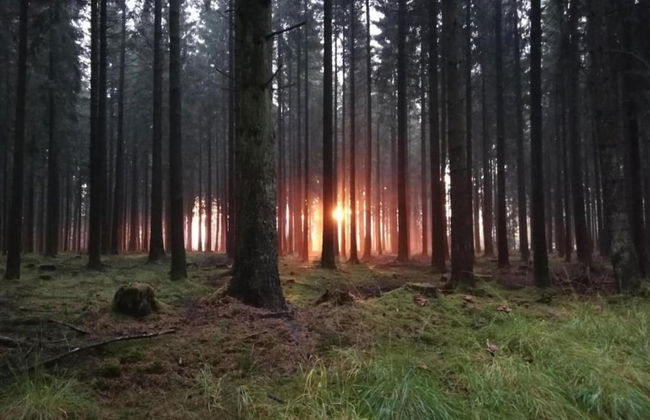 Ruhlen: Schneifel Escape - Photo 38