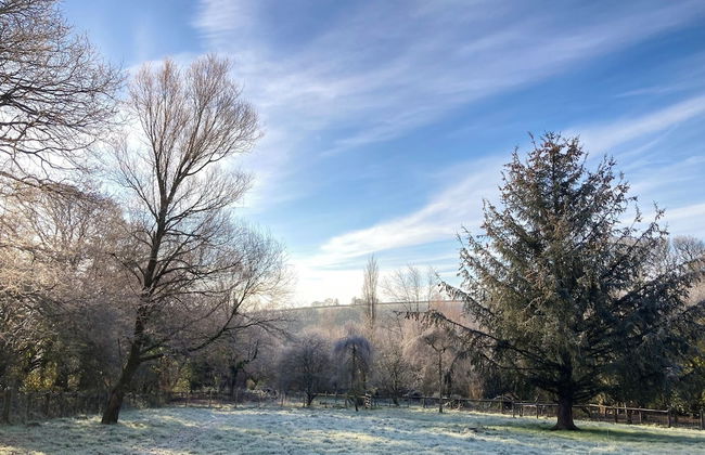 1 Bed 17th Century Stone Cottage in Rural Devon - Foto 13