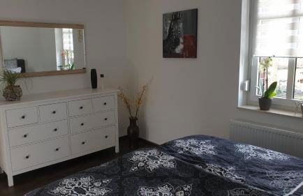 SeenSucht & Urlaubsträume, Ferienwohnung "Seerose" - Photo 7