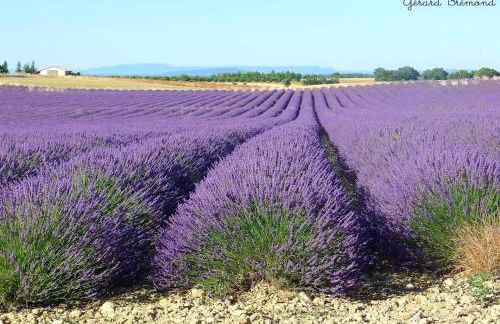 Beau studio Monteux, balcon vue Lac, près de Spirou Provence - Photo 27