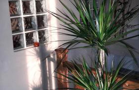 Galicia Retreat - Foto 42