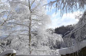 Komfortowy Dom w Chmurach - Foto 70