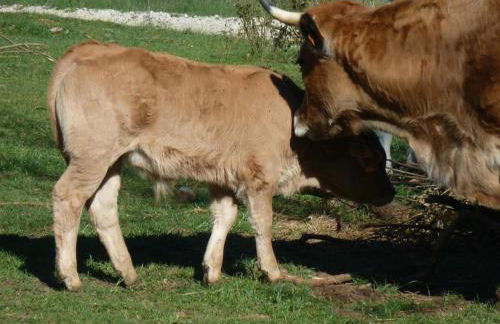 Gite "la nature" - Foto 28