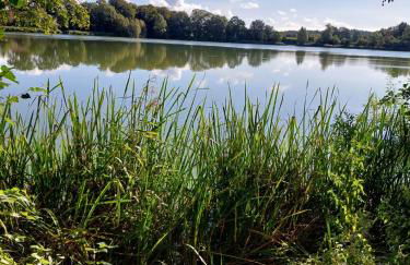 Ferienwohnung - Foto 26