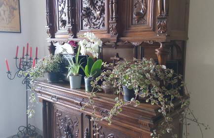 La Vista Sul Castello - Photo 16