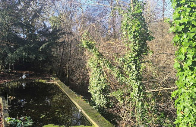 Charming Studio the Heart of the Forest - Foto 22