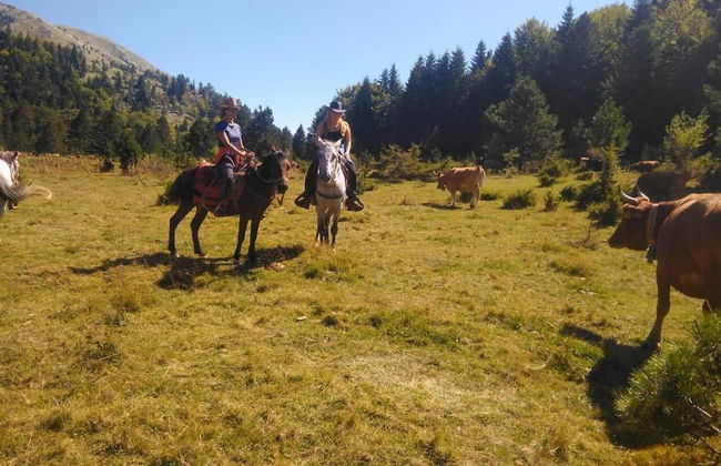 Farma Sotira - Foto 23