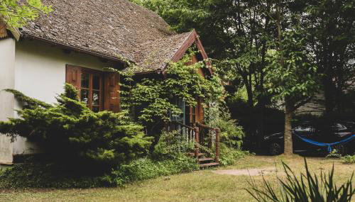 AŻ POD LAS - Foto 2