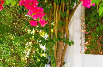 Casara Tres - 2 Dormitorios - Jardín y acceso Privado a la Playa - Foto 19