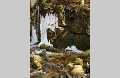 Gemütliche Ferienwohnung in Sankt Blasien - Foto 47