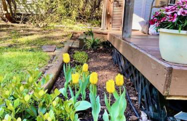 Vintage Scotty Camper Cottage Durham NC - Foto 21