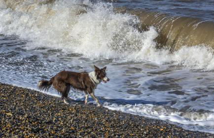 Old Mill House - Foto 61