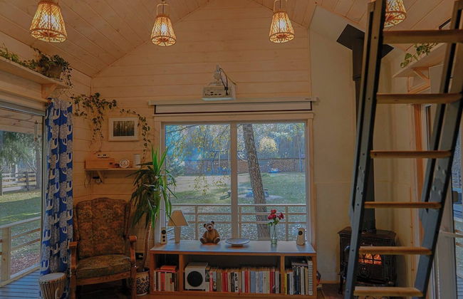 Metai Miške&a Year in the Forest - Photo 1