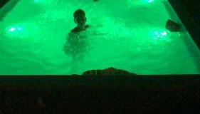 Apartamento encantador - Foto 3