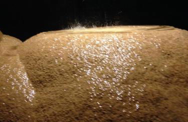 Domaine en Terre Happy - Foto 57