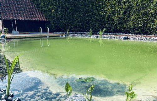 Fewo Zitronenfalter EG - Foto 1