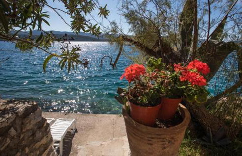 Apartmani Nikoletić - Photo 51