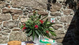 Quinta De Cima De Eiriz - Foto 5