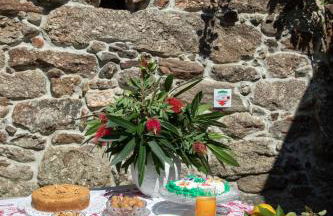 Quinta De Cima De Eiriz - Foto 5