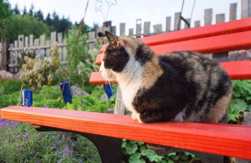 Grub-Daniel-Hof - Foto 13