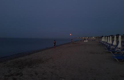 Zak's House - Foto 31