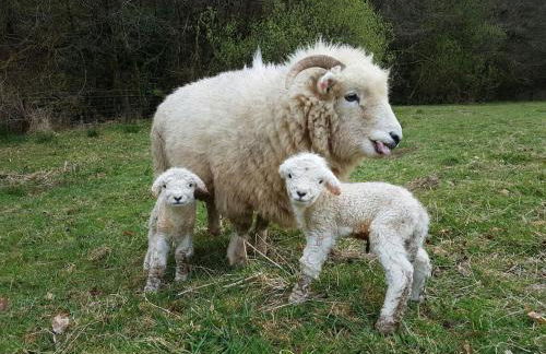 Wonderfully situated in the heart of Exmoor - Foto 14